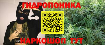 мдпв Пугачёв